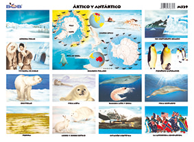 M529 Ártico y Antártico (25 pzas)
