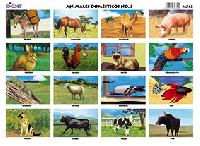 M543 Animales domésticos 3 (25 pzas)