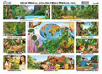 M640 Selva húmeda y selva seca (25 pzas)