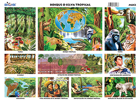 M642 Bosque o selva tropical (25 pzas)