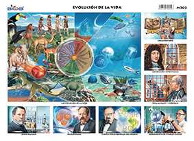 M703 Evolución de la vida / origen y teorías (25 pzas)
