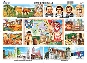 M719 Estado de Hidalgo (25 pzas)