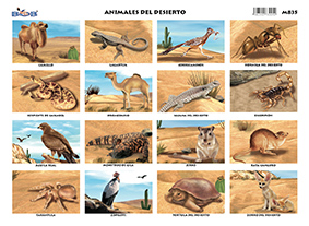 M835 Animales del desierto - 16 figuras (25 pzas)