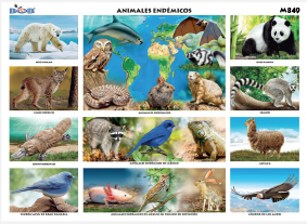 M849 Animales Endémicos (25 pzas)