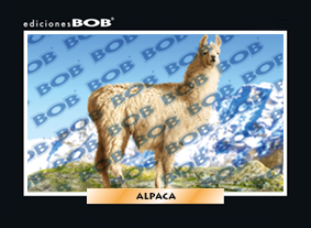 RV238 Alpaca (50 pzas)