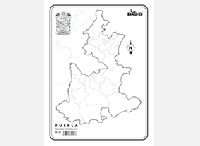 MI22 Puebla División política s/n (200 pzas)