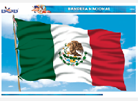 CED24 Bandera nacional (1 pza)