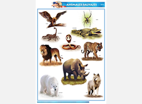 CED51 Animales salvajes (1 pza)
