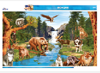 CED52 Bosque (1 pza)
