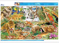 CED53 Selva (1 pza)