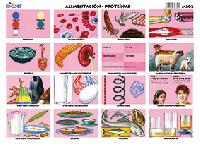 M202 Alimentación - proteínas (25 pzas)