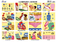 M203 Alimentación - minerales (25 pzas)