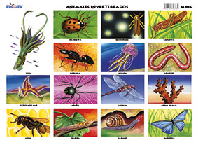 M206 Animales invertebrados 1 (25 pzas)