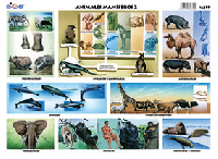 M219 Animales mamíferos 2 (25 pzas)