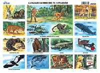 M424 Animales en peligro de extinción (25 pzas)