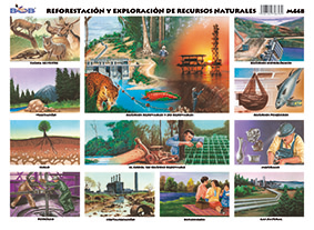 M448 Reforestación y explotación de recursos naturales (25 pzas)