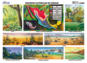 M460 Regiones naturales de México (25 pzas)