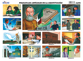 M470 Principales artículos de la constitución (25 pzas)