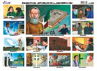 M470 Principales artículos de la constitución (25 pzas)